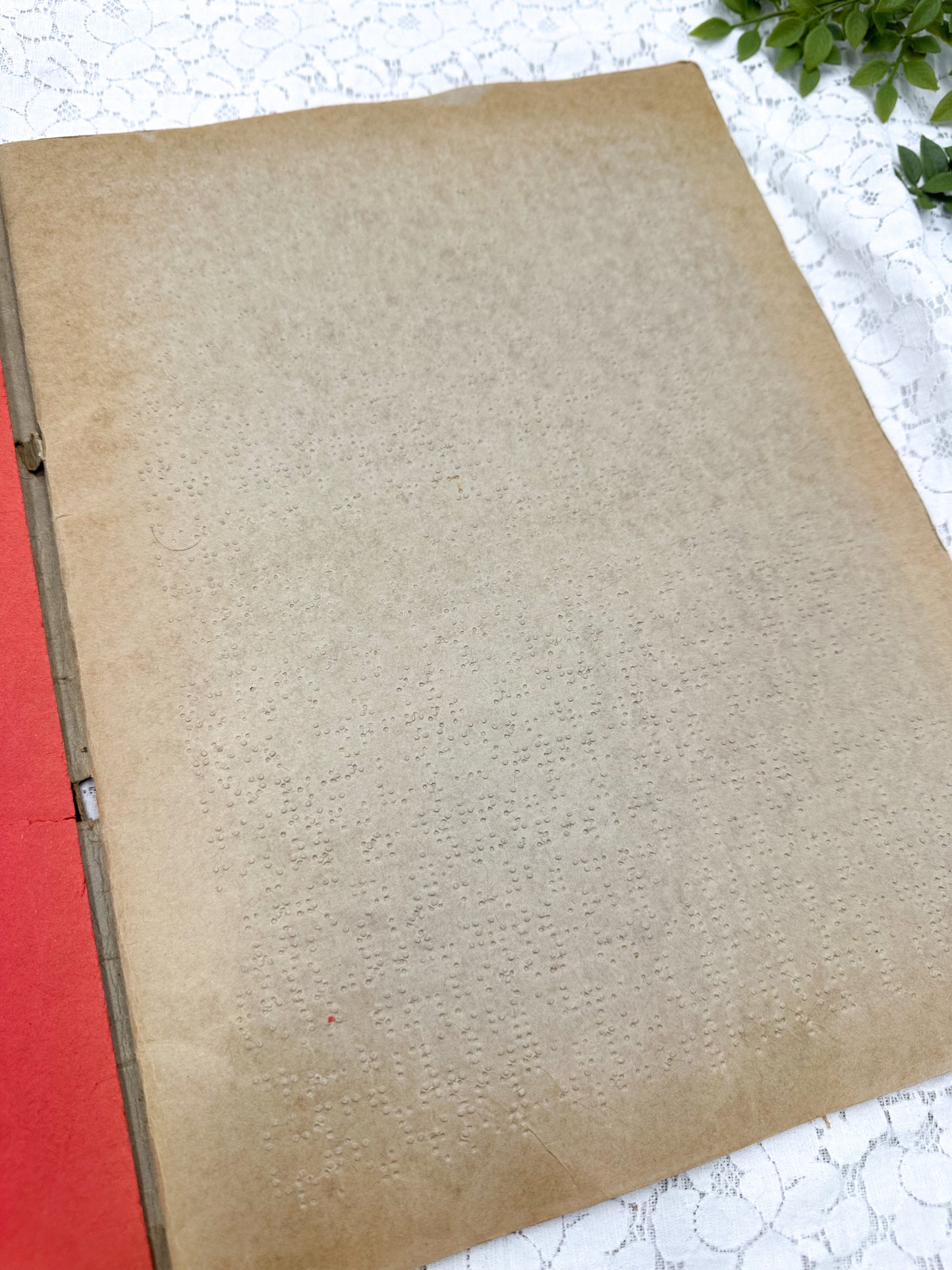 Braille Book