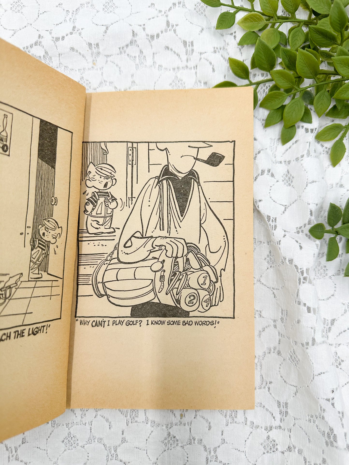 Dennis the Menace Set (Two Books)