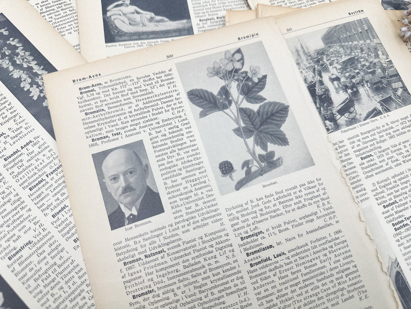 Foreign Language Pictorial Encyclopedia Pack