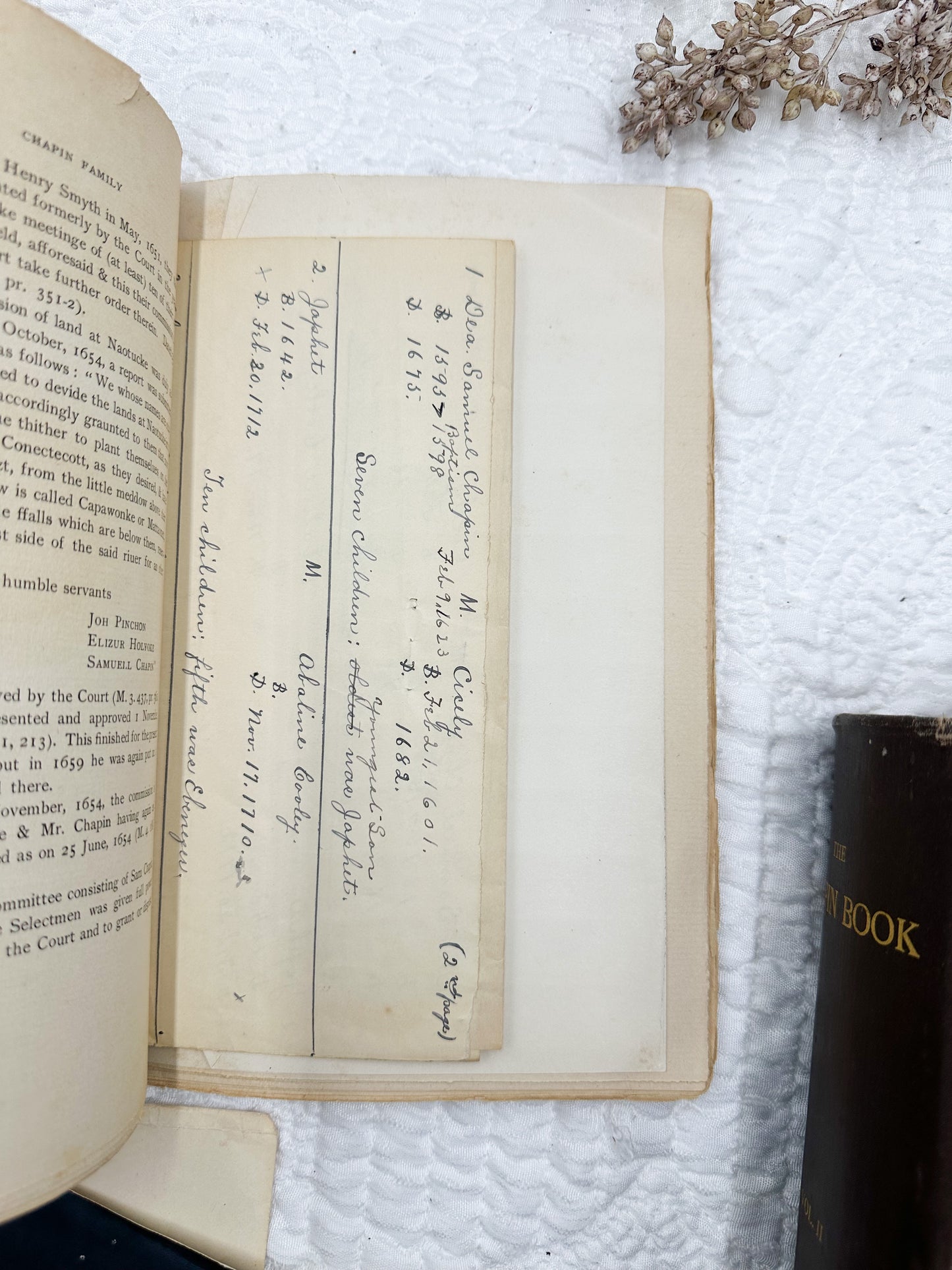 Vintage Genealogy