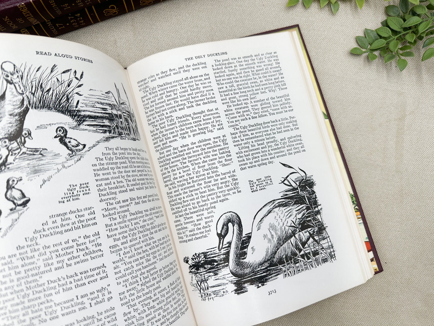 The Book of Knowledge (Multiples Available)