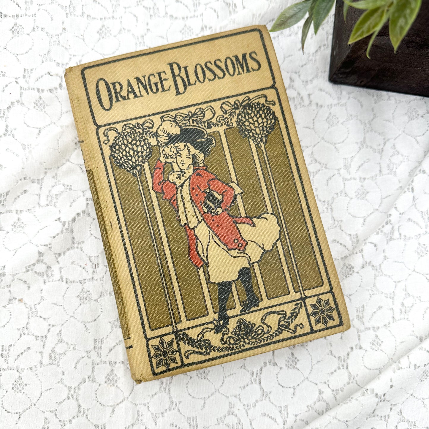 Orange Blossoms