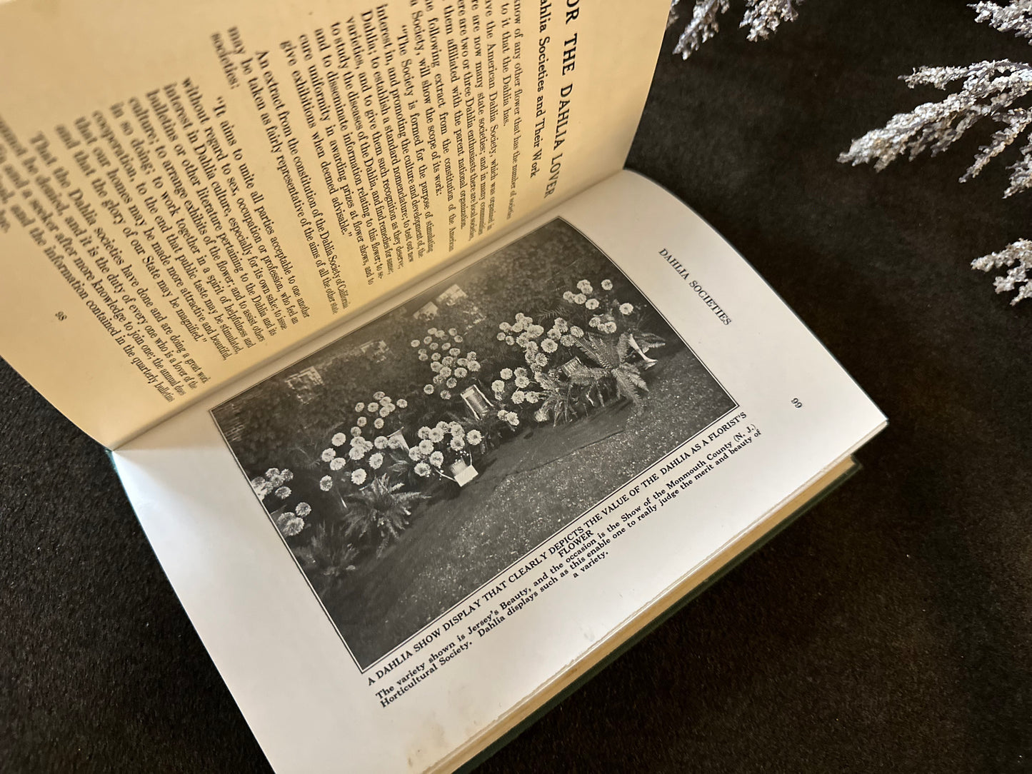 Beautiful Vintage Book