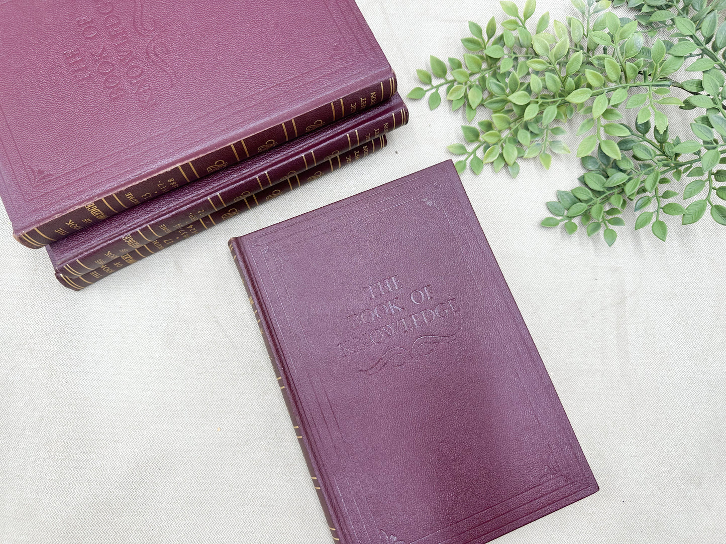 The Book of Knowledge (Multiples Available)