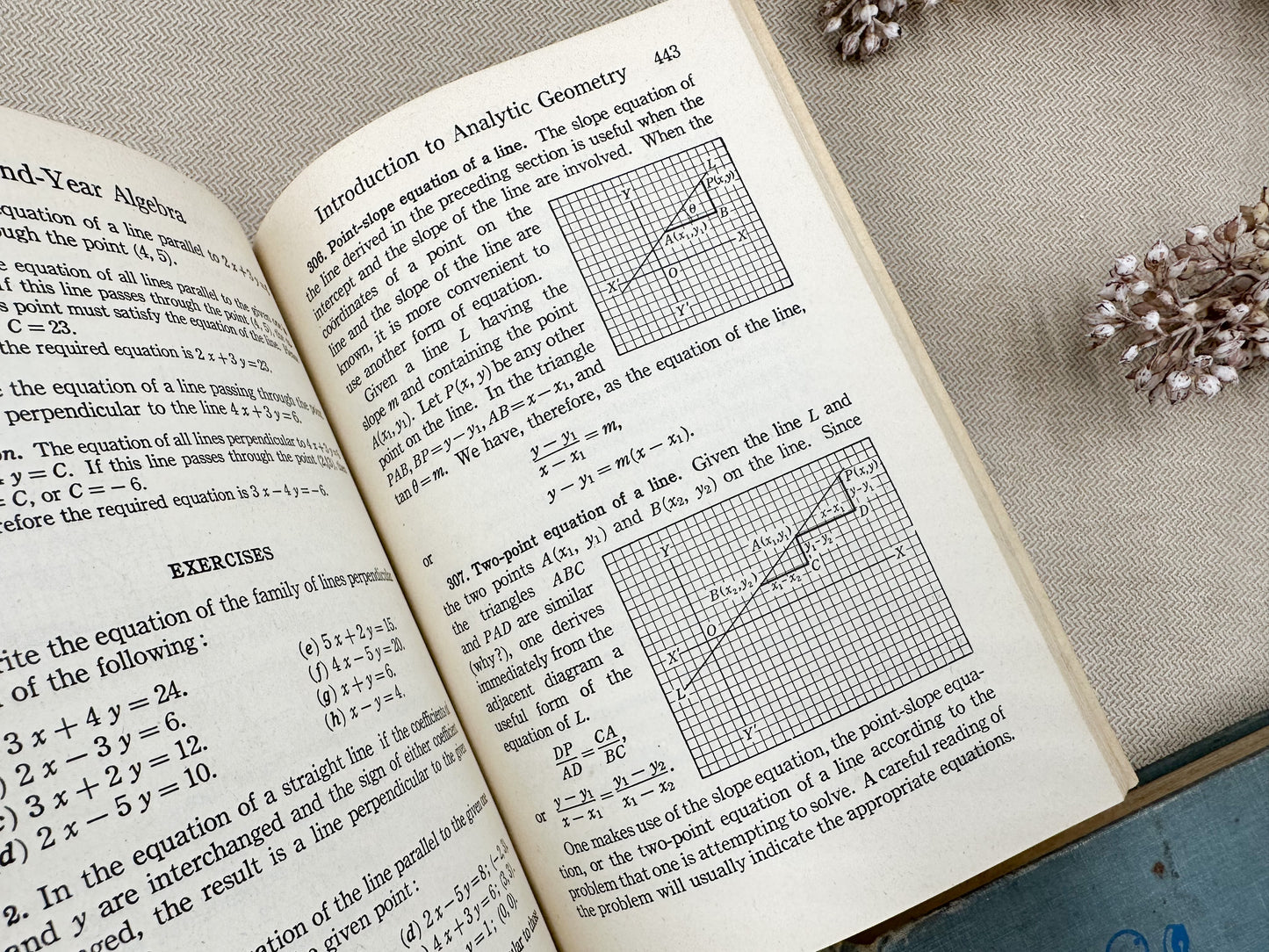 Set of Four Vintage Textbooks