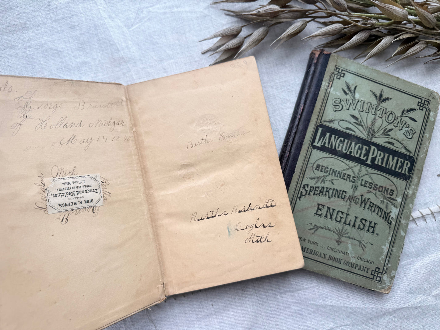 Vintage Textbooks