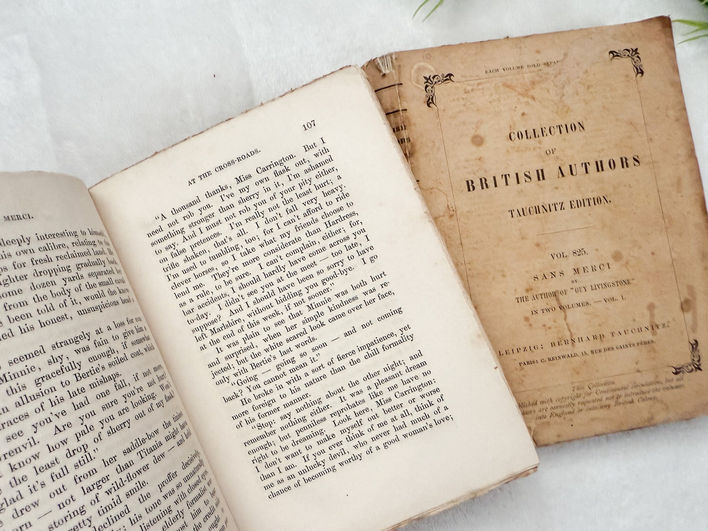 Vintage Book Set