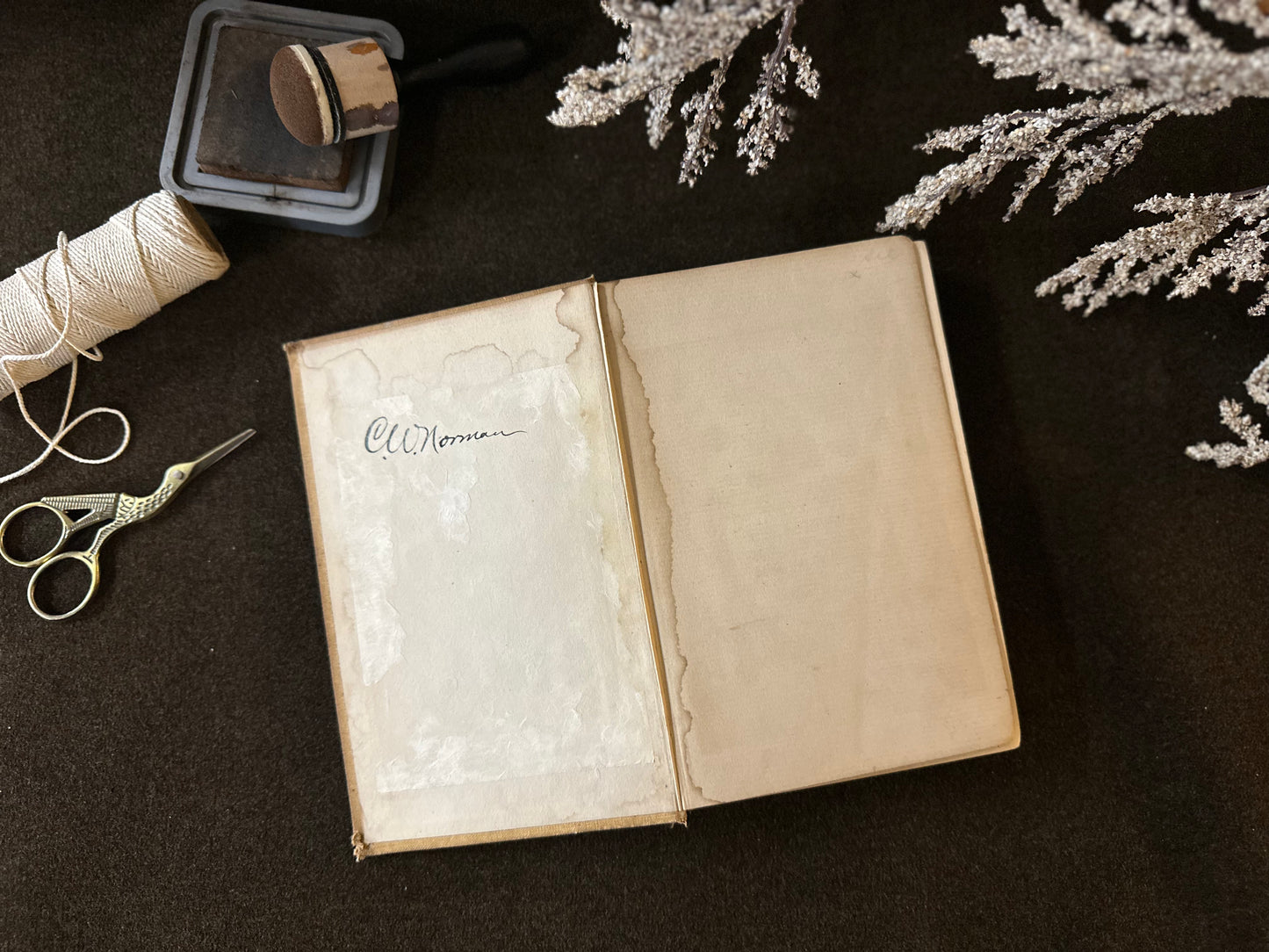 Beautiful Vintage Book