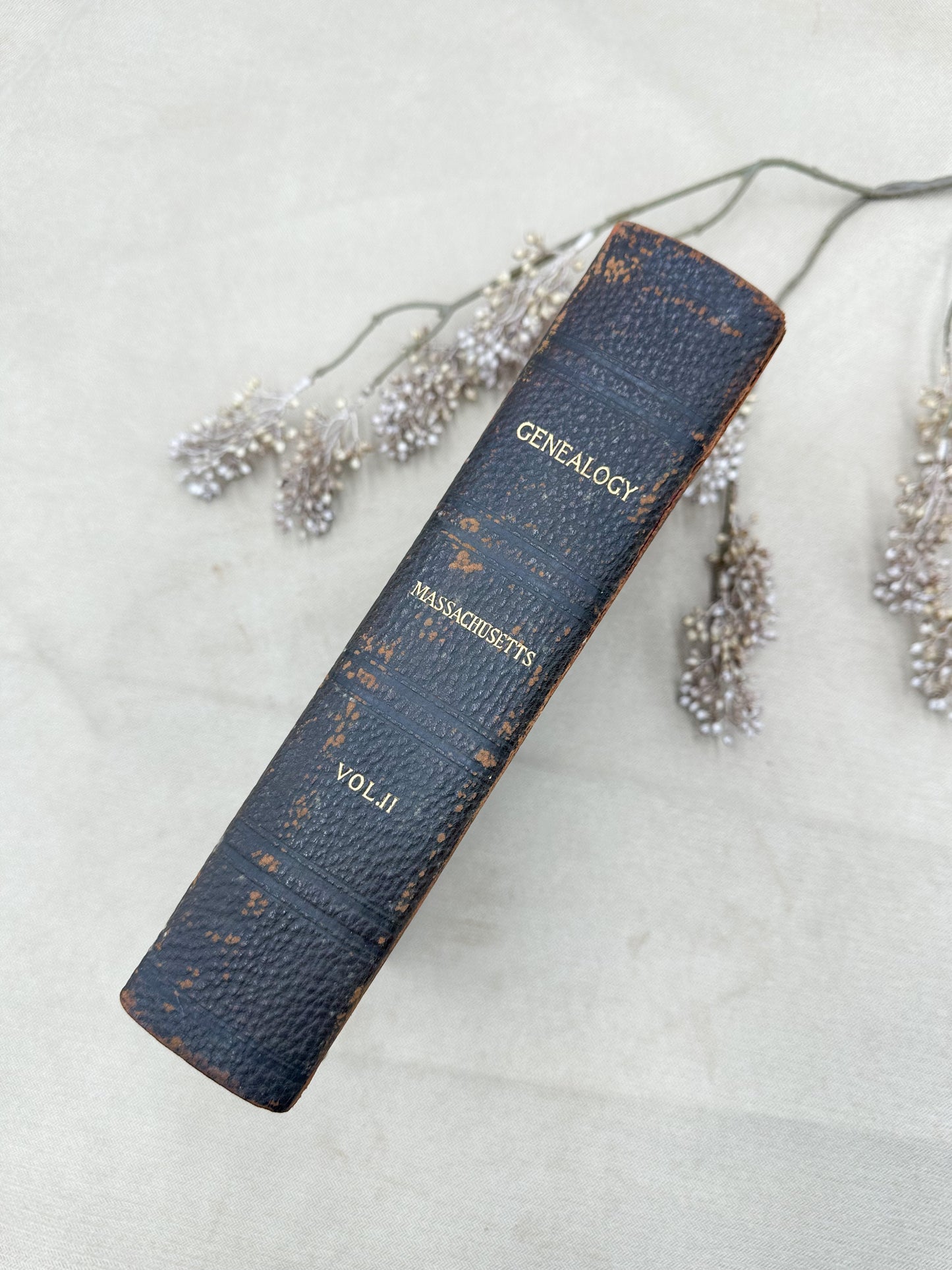 Geneology Book (Two Available)