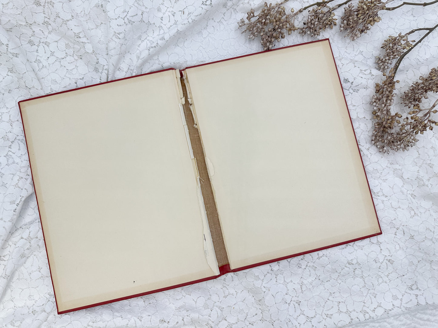 Vintage Book Cover