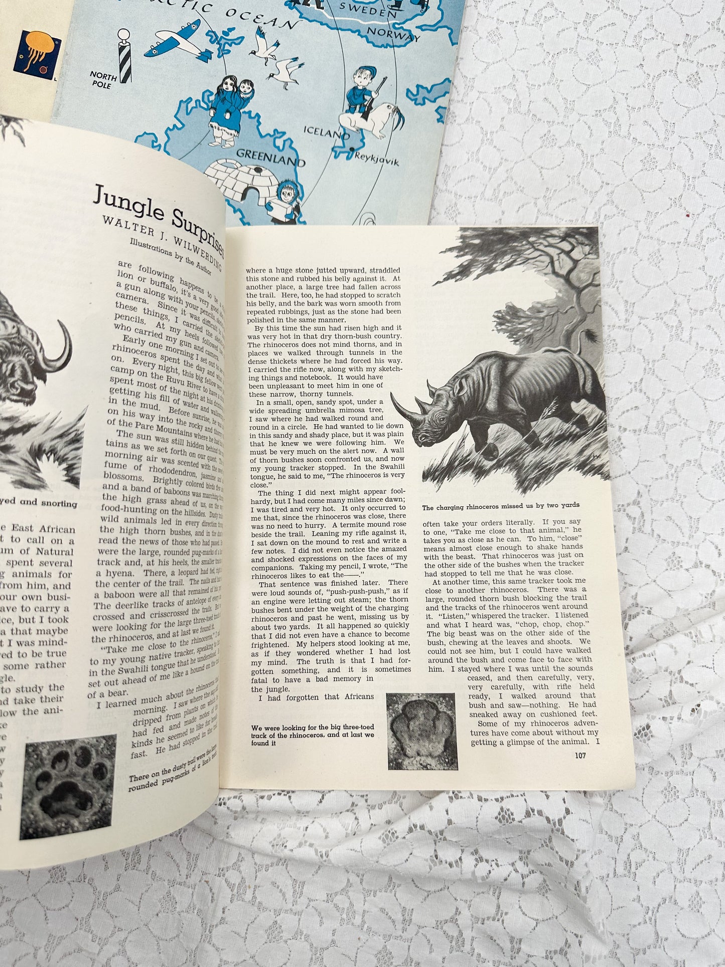 Collection of Vintage Education Magazines