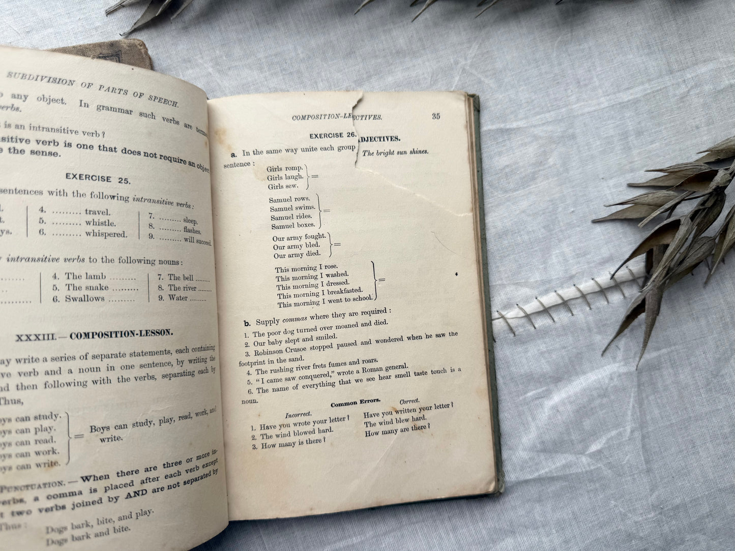 Vintage Textbooks