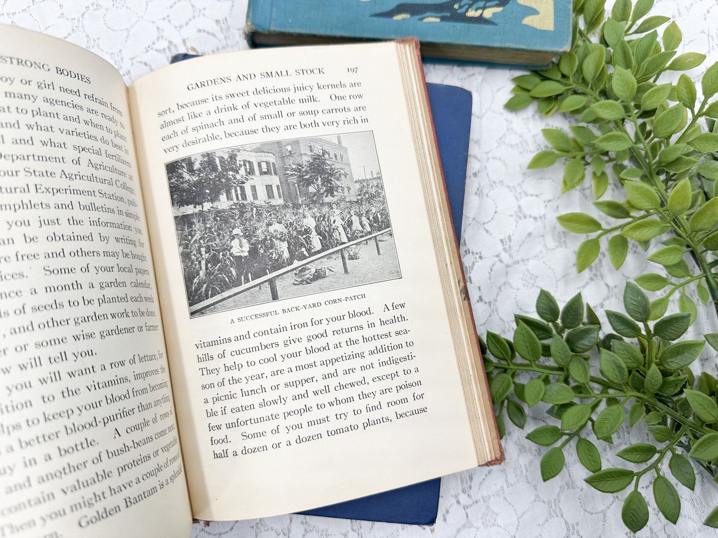 Vintage Textbooks (Set of 4)