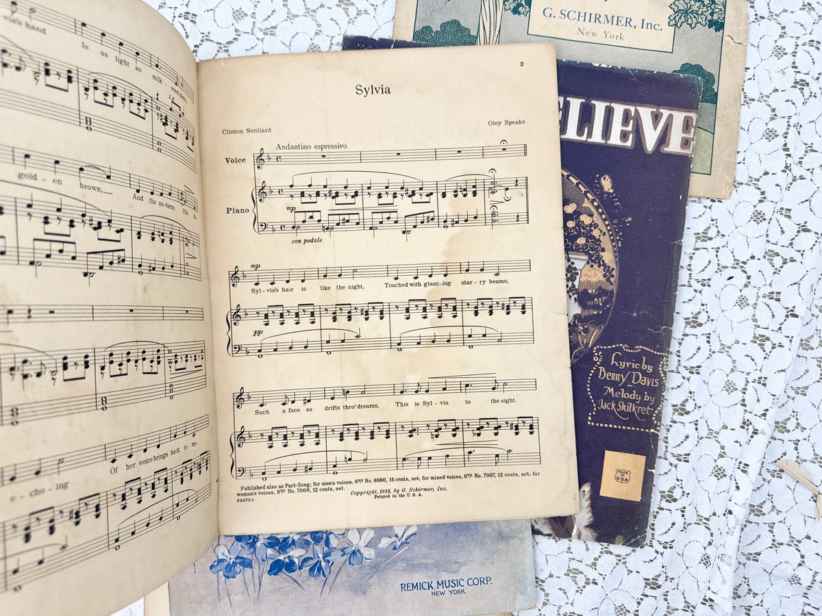 Vintage Music Set