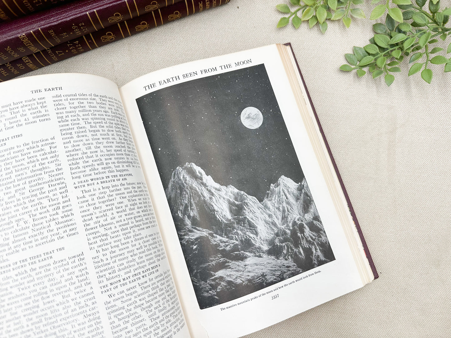 The Book of Knowledge (Multiples Available)