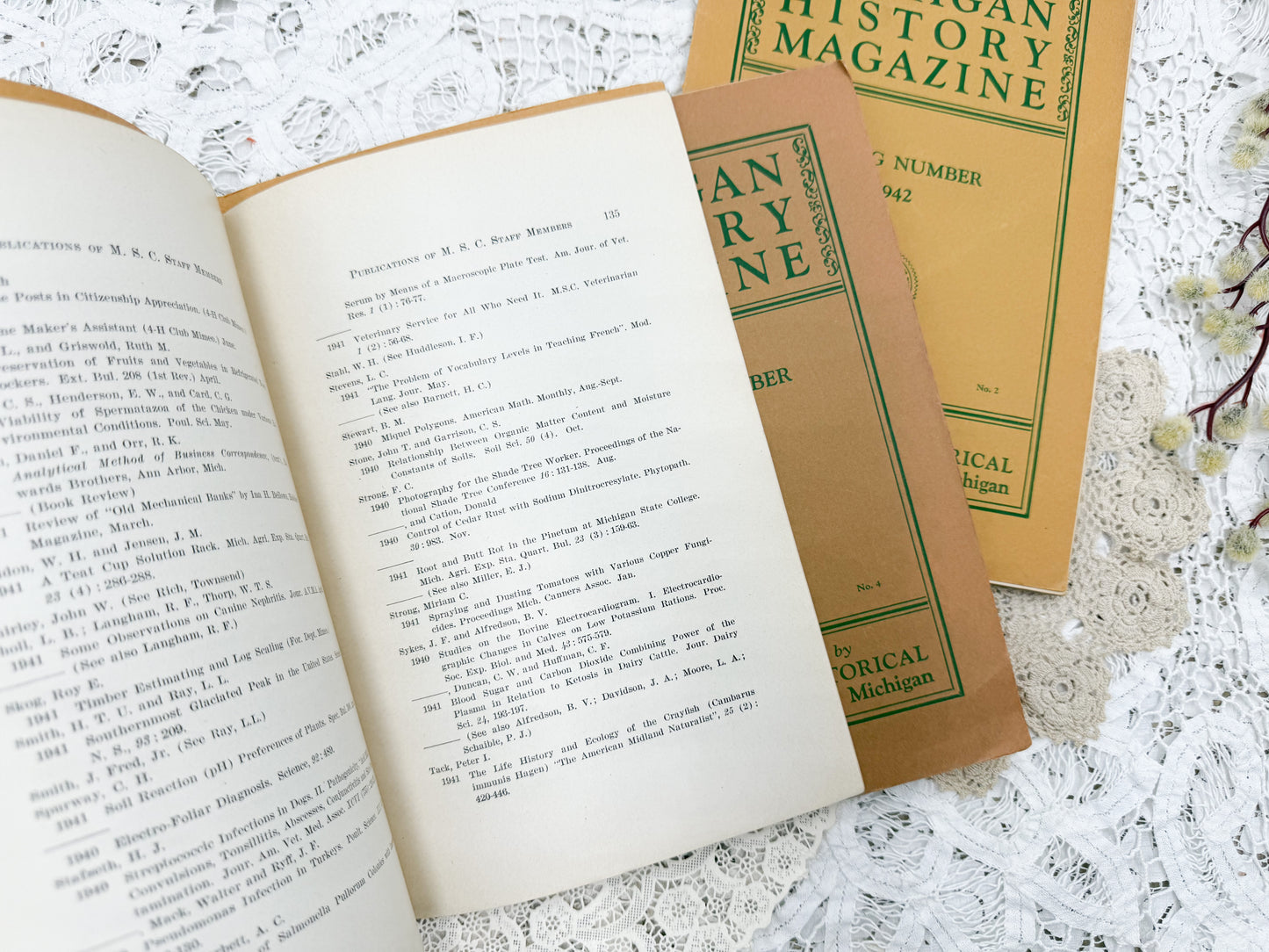 Michigan History Books