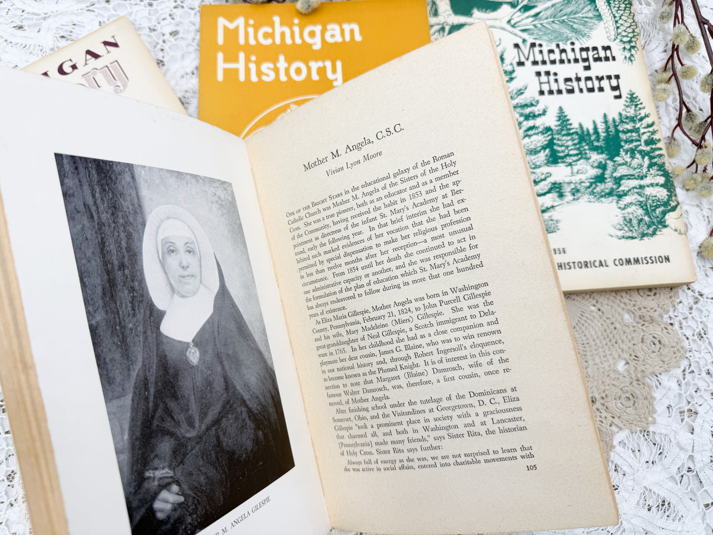 Michigan History Books