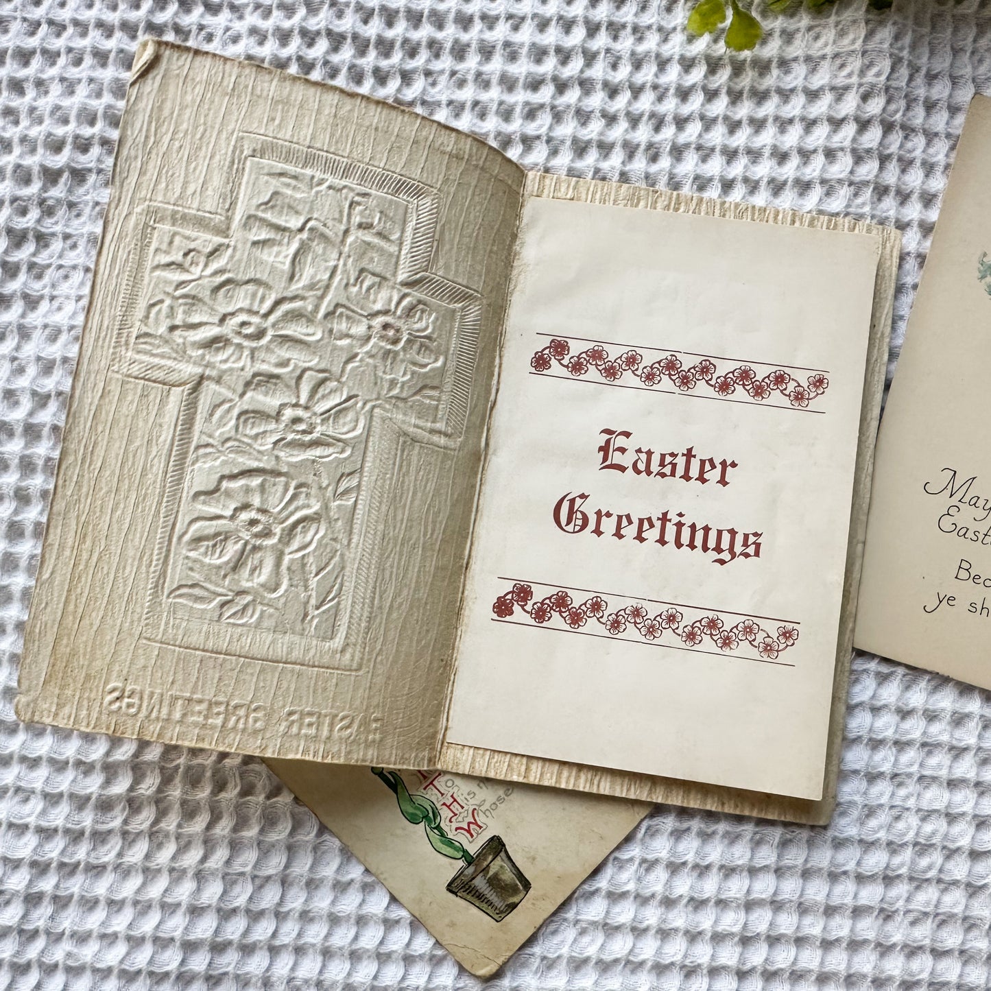 Vintage Postcard Set