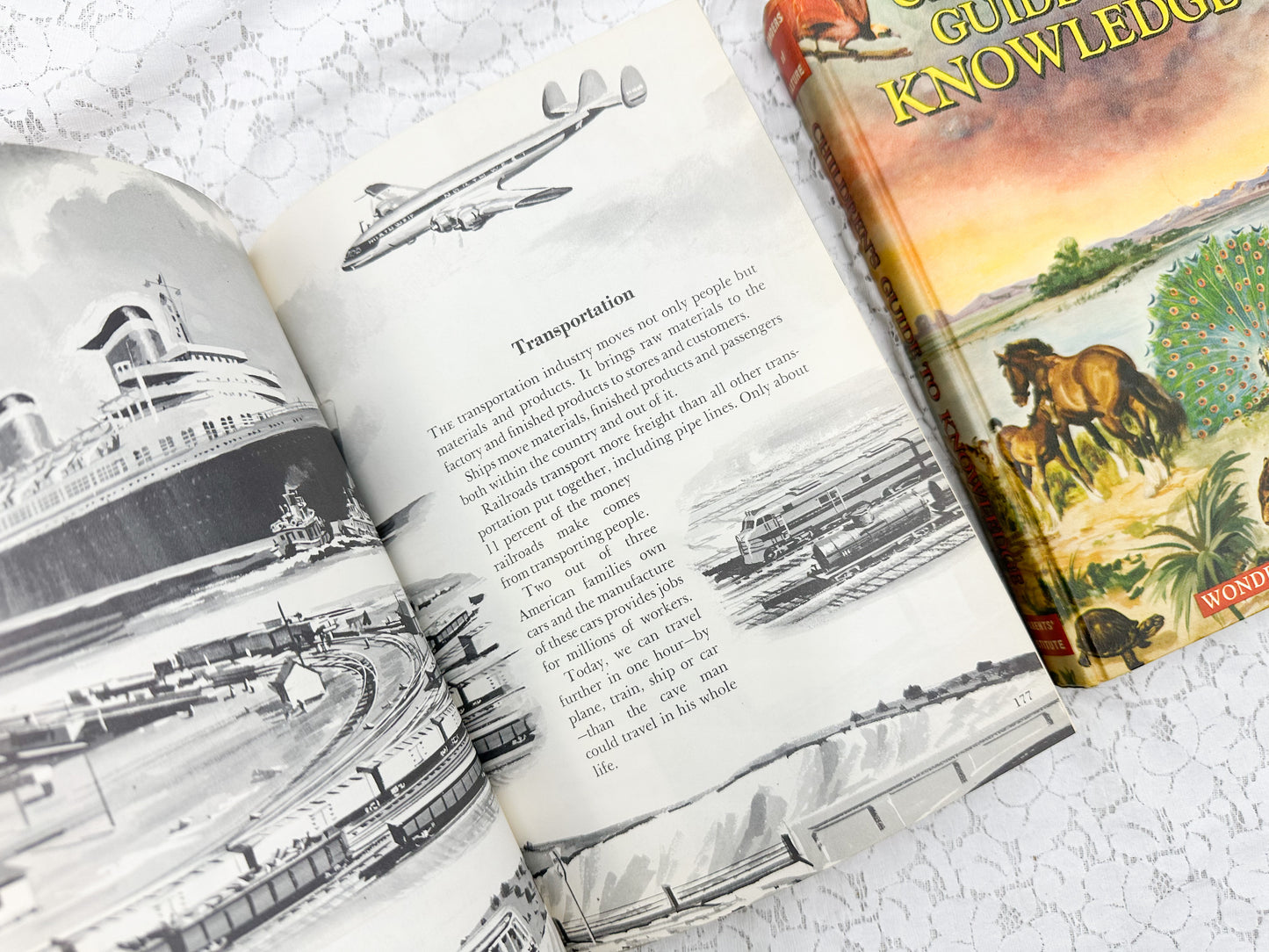 Children's Guide to Knowledge (Set of 2)
