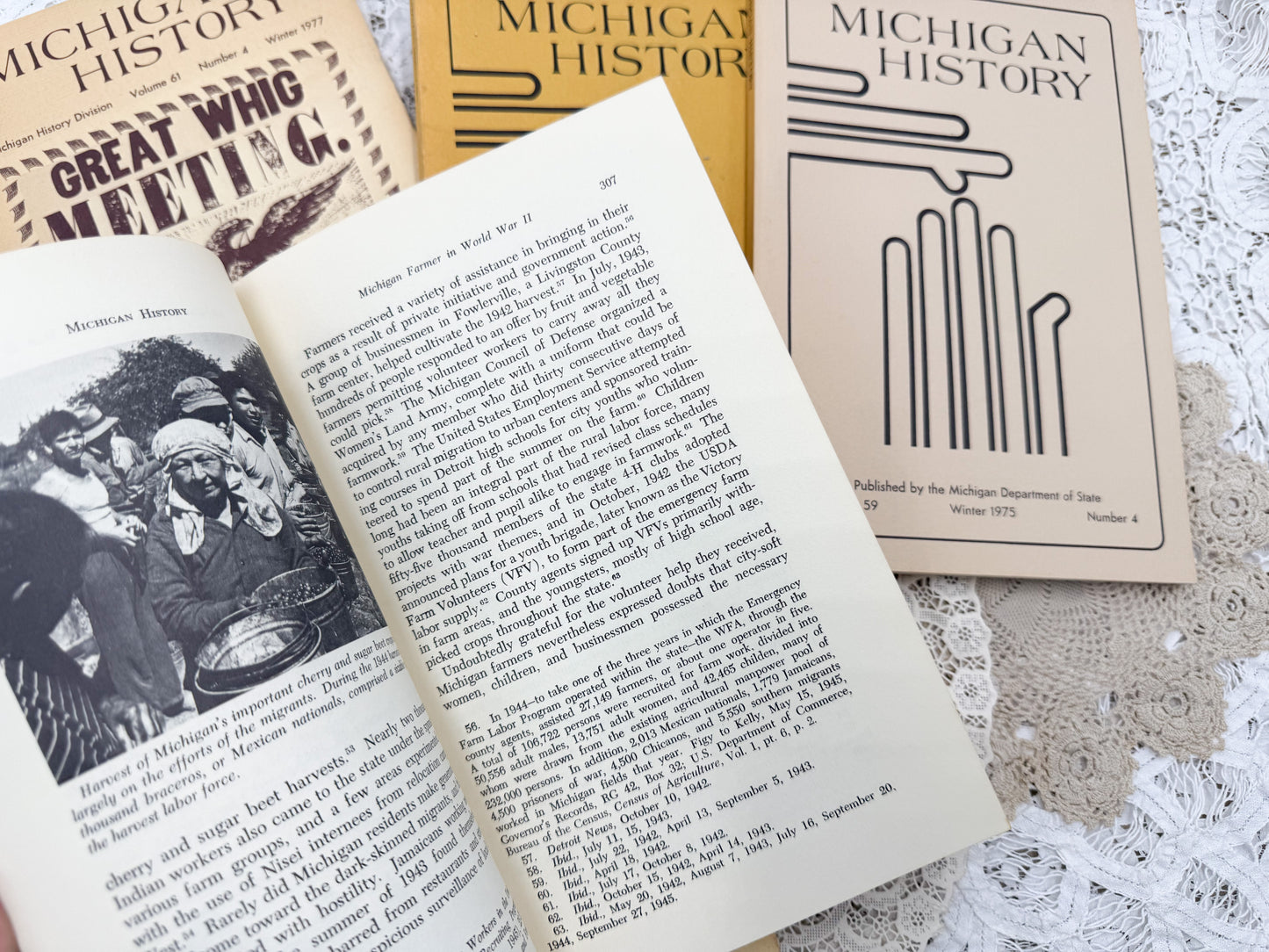 Michigan History Books