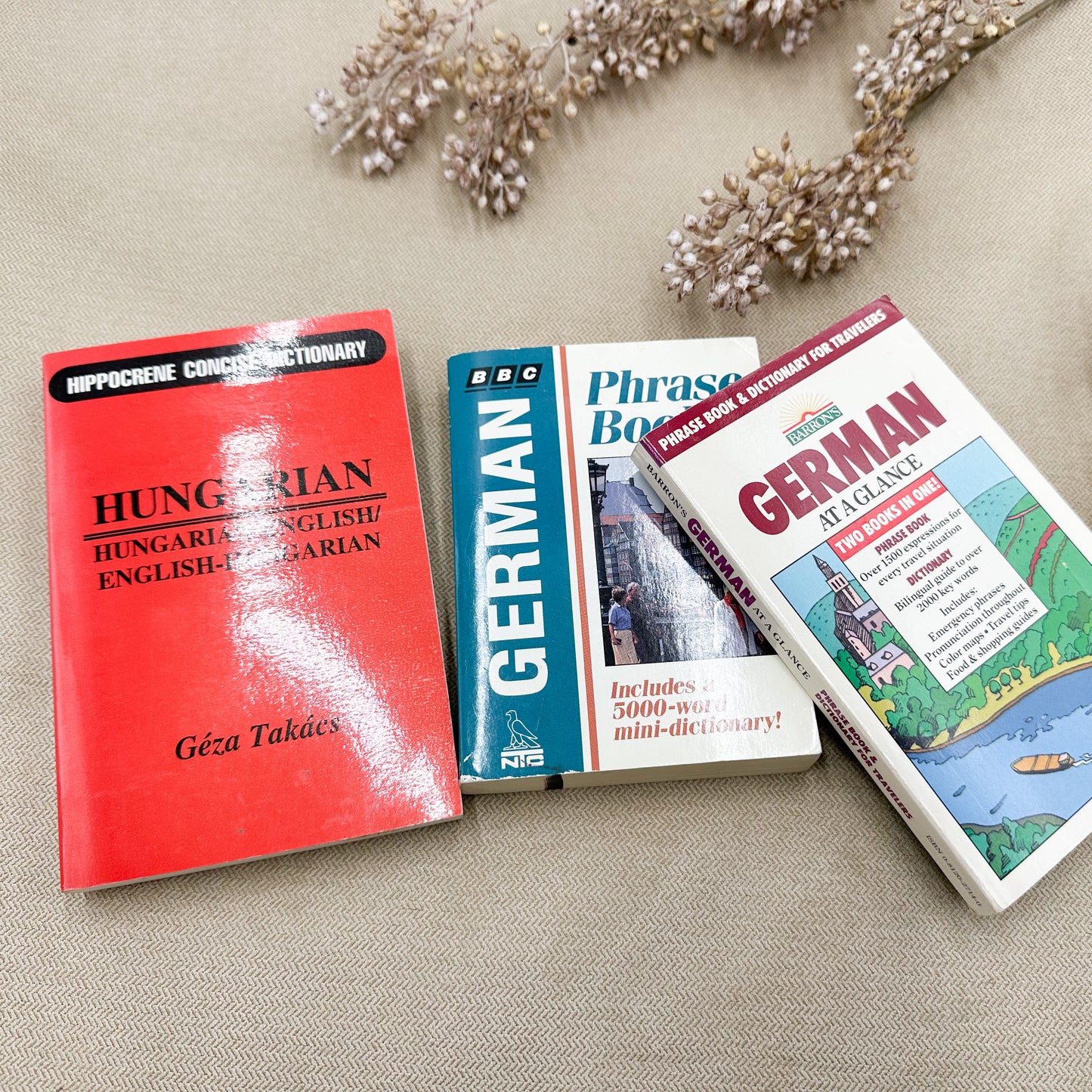 Set of Foreign Language Books (set of 3)