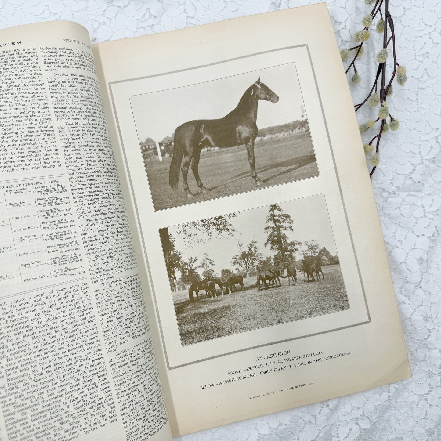 Vintage Horseman Magazine