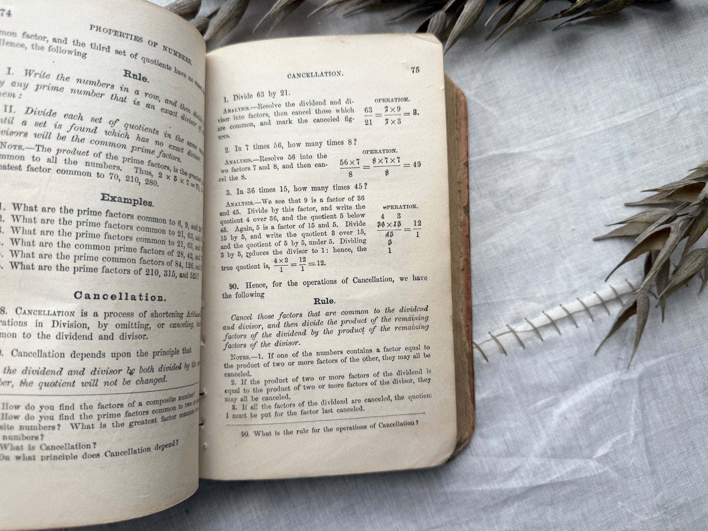 Vintage Textbook
