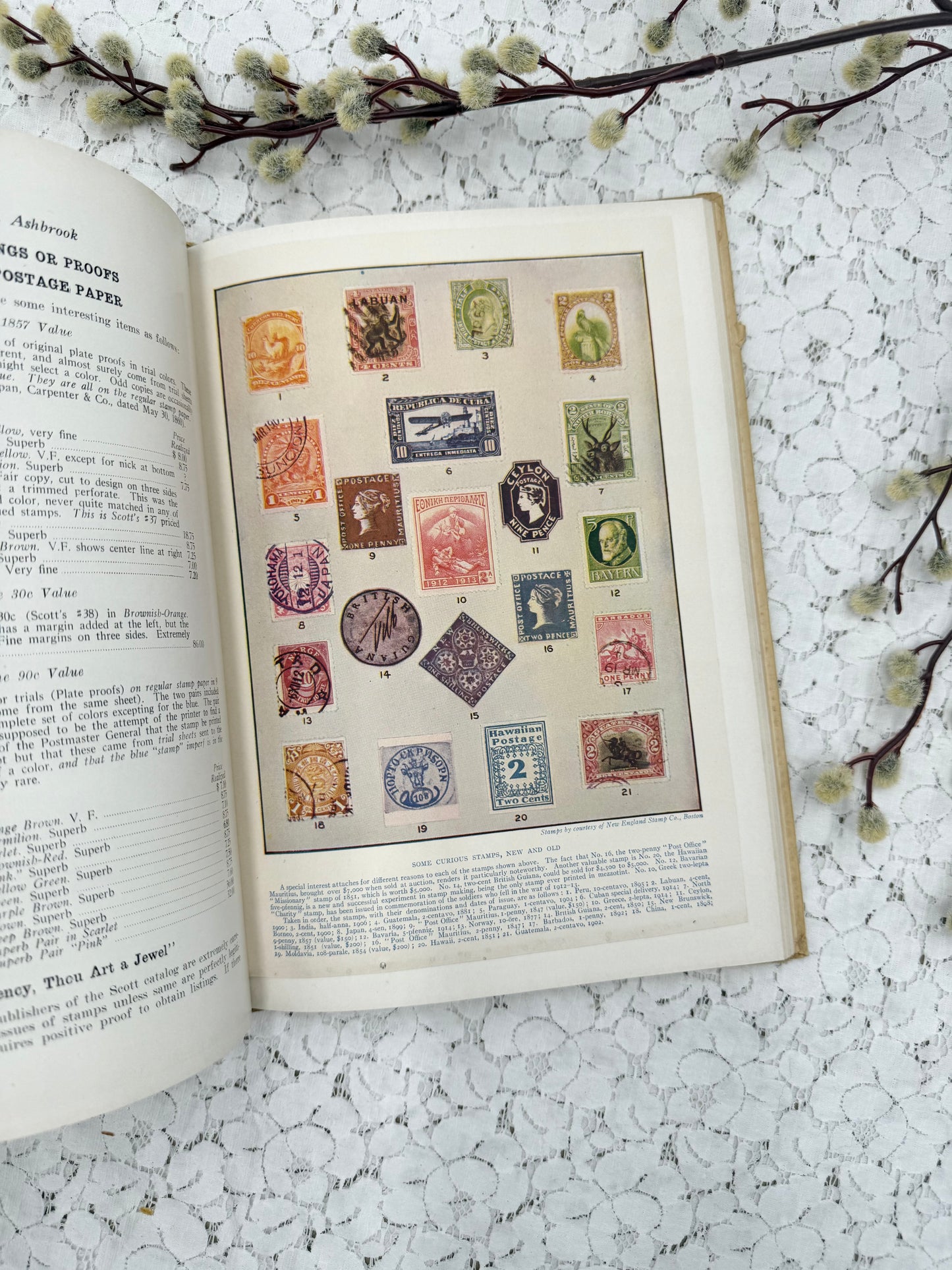 Stamp Specialist Book