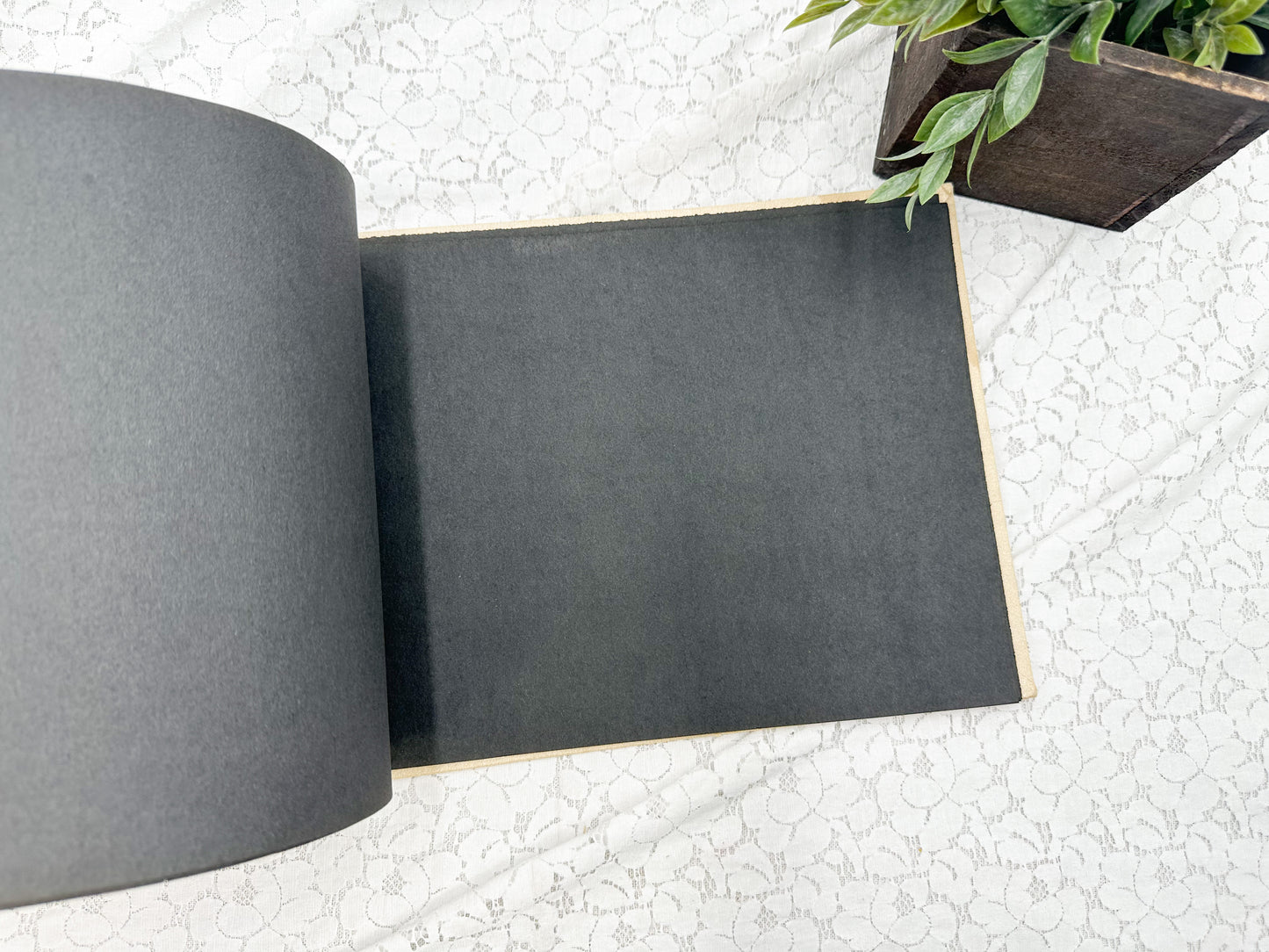 Empty Photo Album