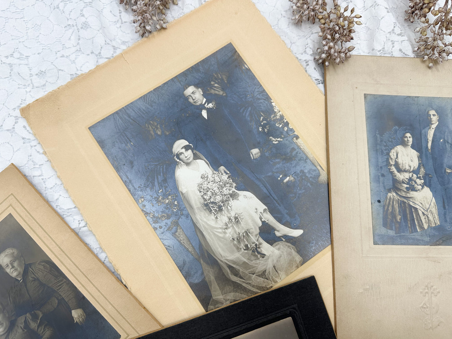 Vintage Cabinet Card Set