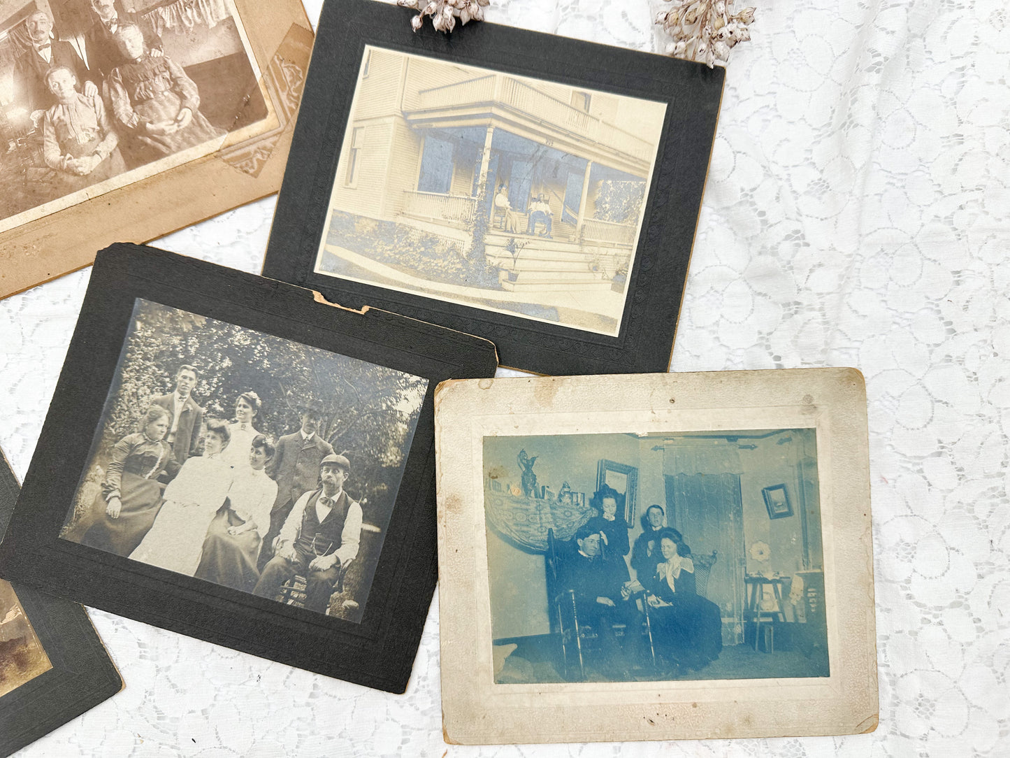 Vintage Cabinet Card Set