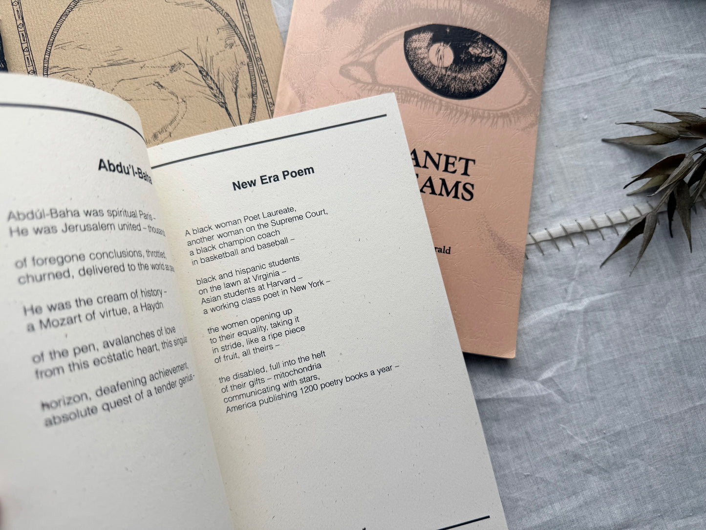 Poetry Booklet Set