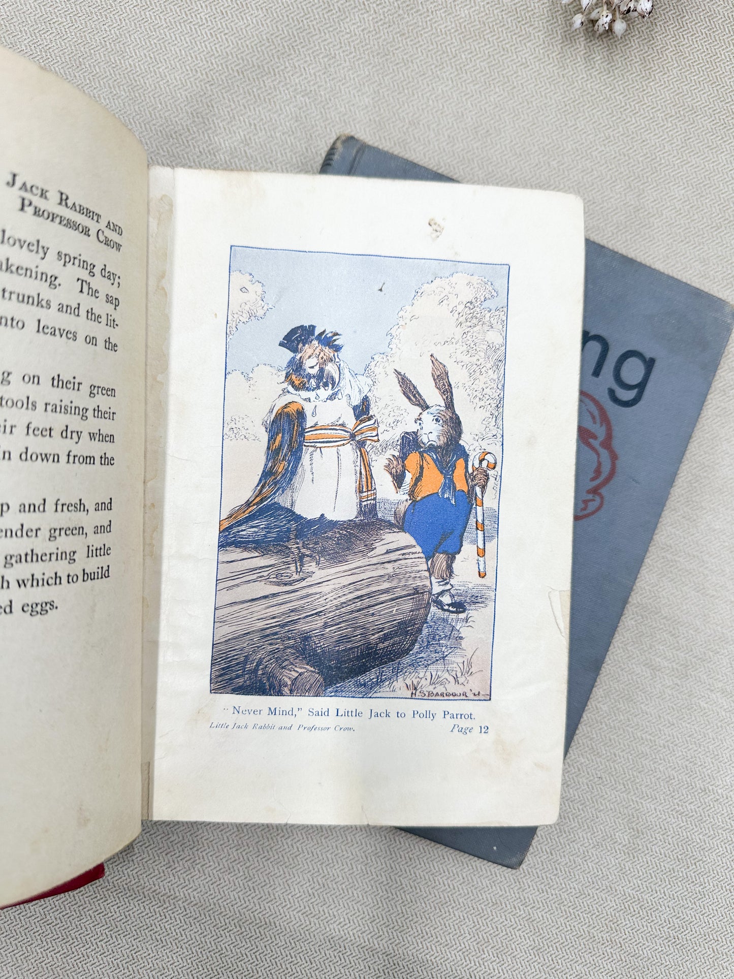 Vintage Children's Books (Set of 4)
