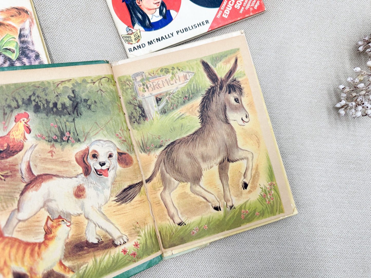 Set of Children's Vintage Books