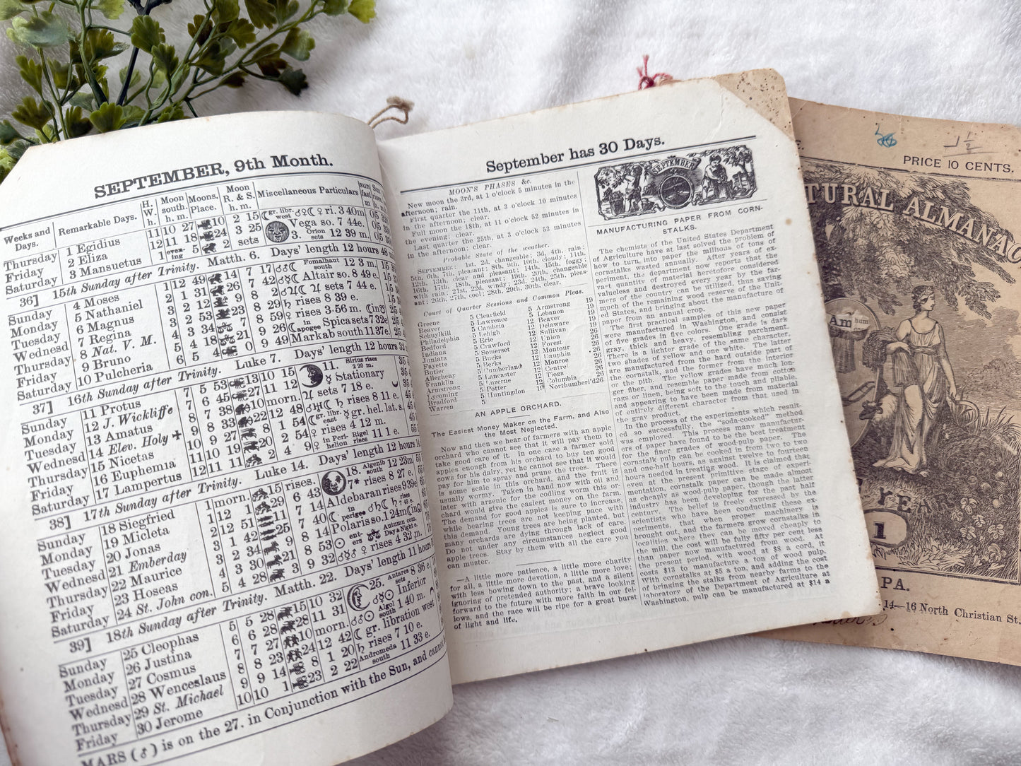 Vintage Almanac Set