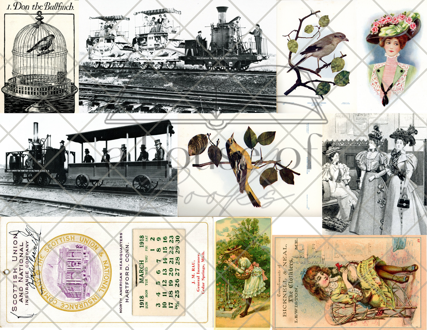 Image Transfer Files- Digital Download