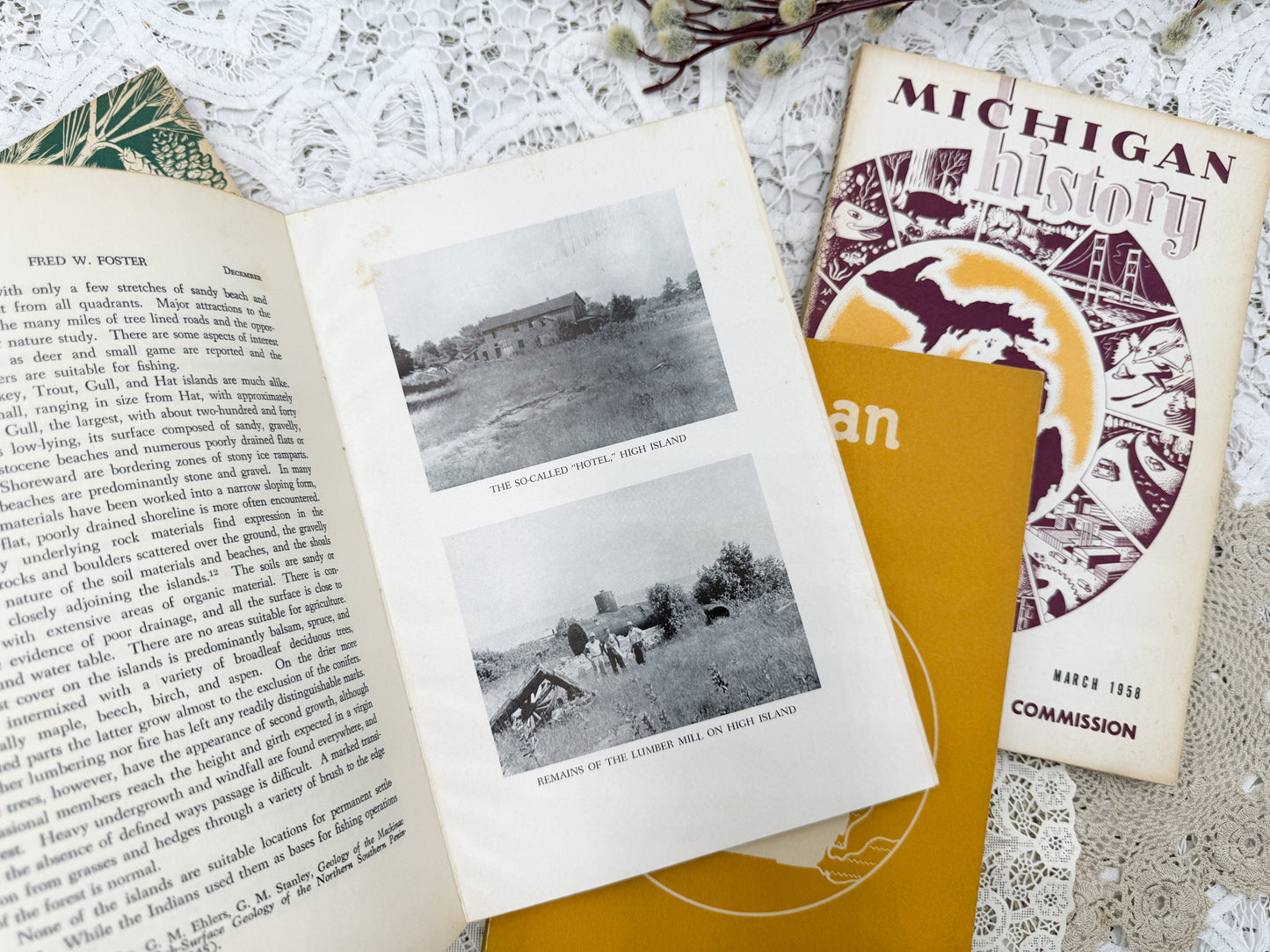 Michigan History Books