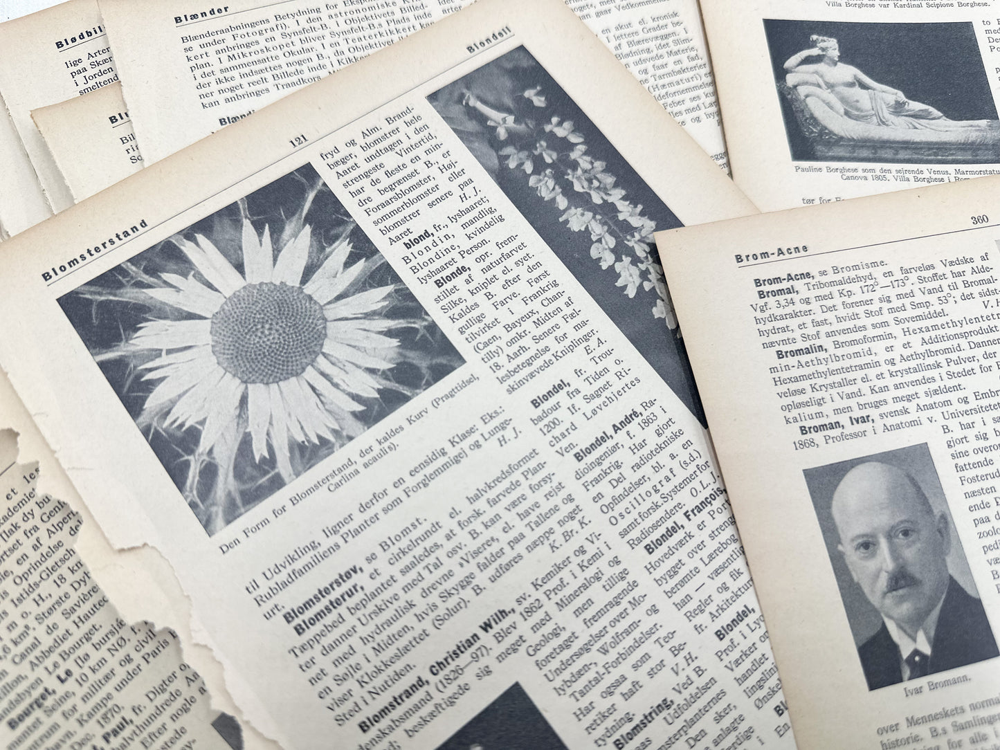 Foreign Language Pictorial Encyclopedia Pack