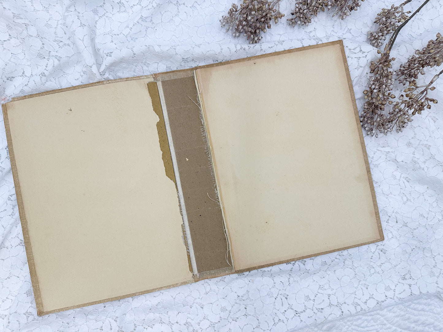 Vintage Book Cover