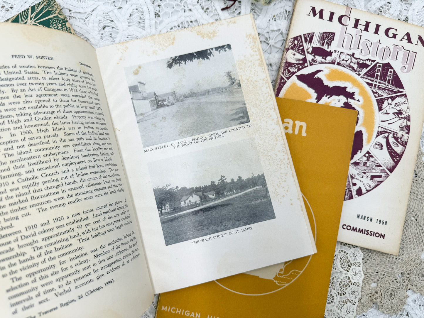 Michigan History Books