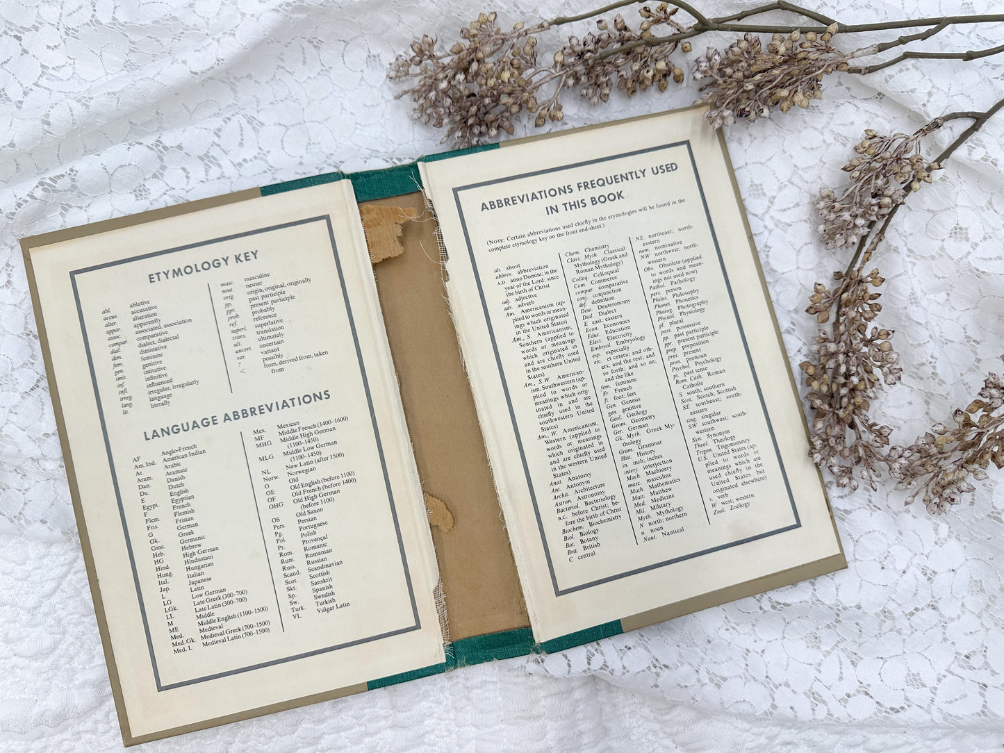Vintage Book Cover