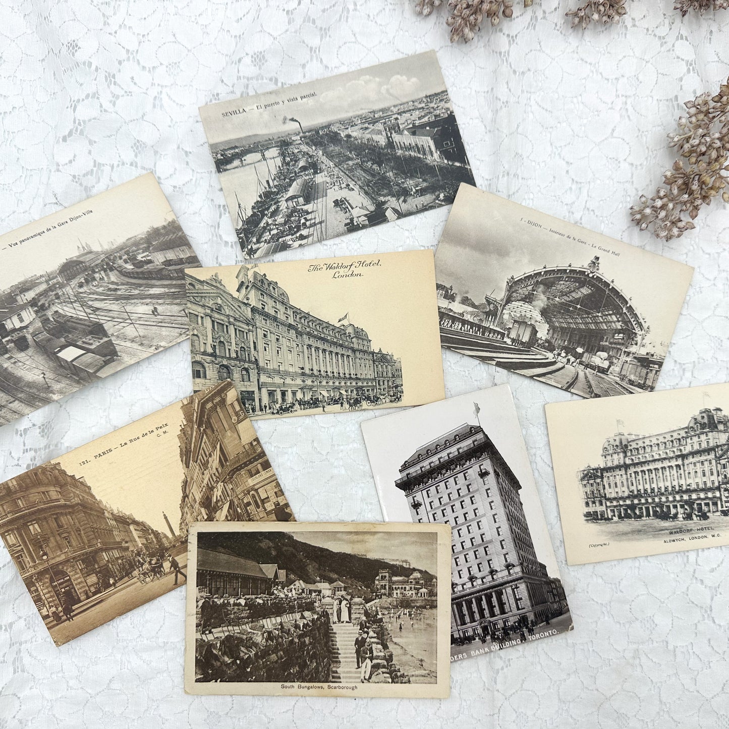 Vintage Postcard Set