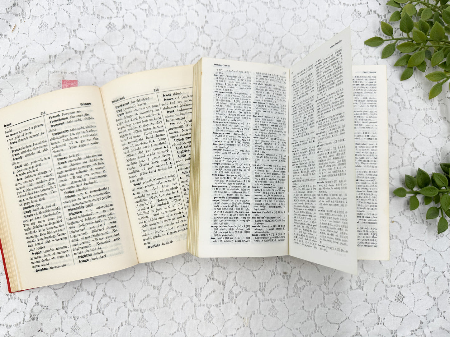 Foreign Language Dictionary Set