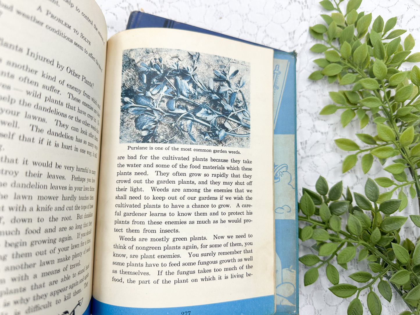 Vintage Textbooks (Set of 4)