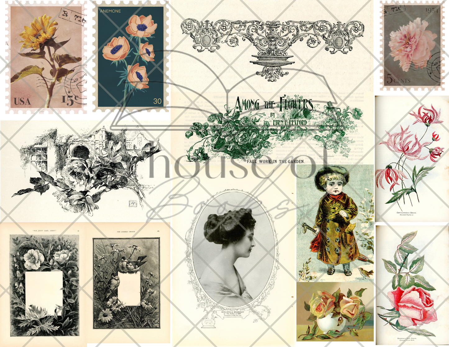 Image Transfer Files- Digital Download