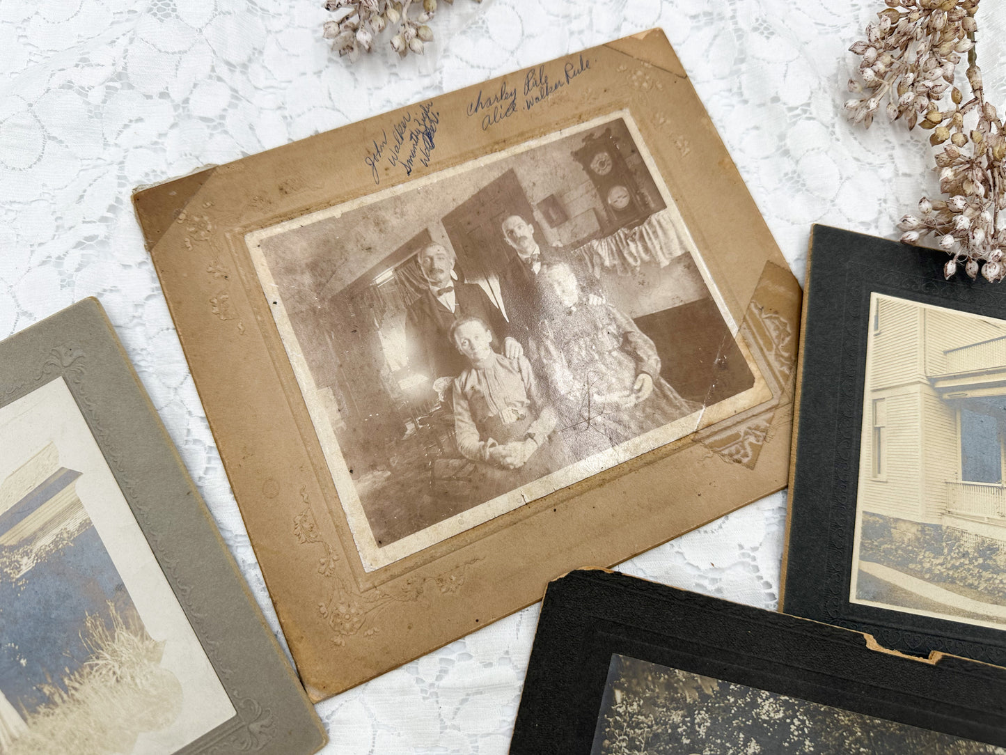 Vintage Cabinet Card Set