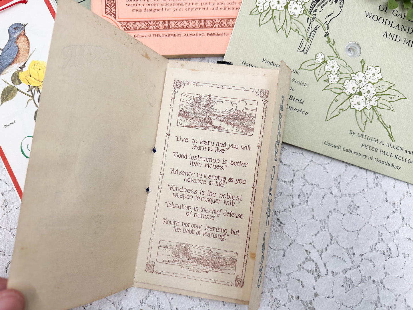 Ephemera Set