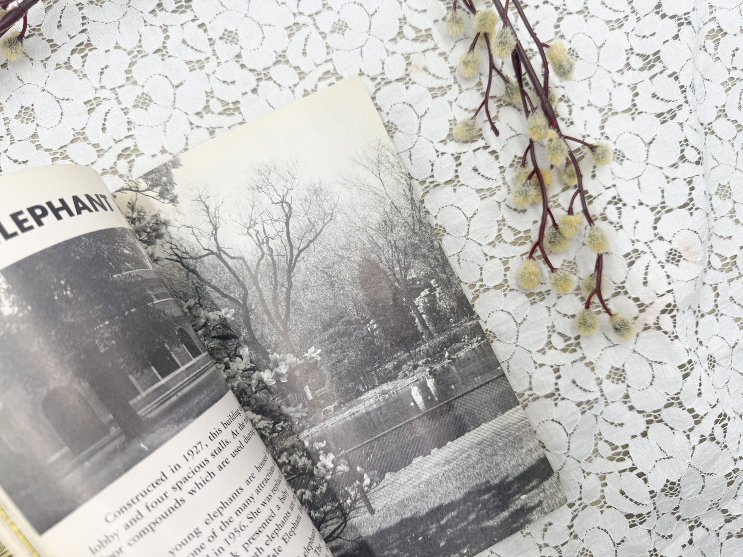 Vintage Michigan Books