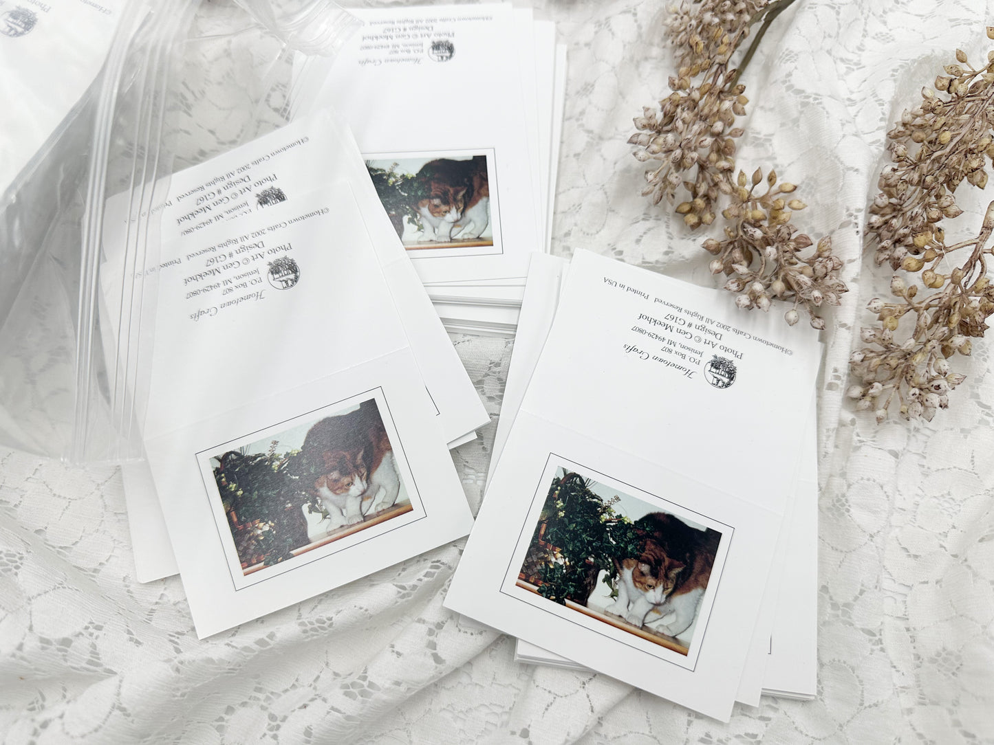 Cat Greeting Cards