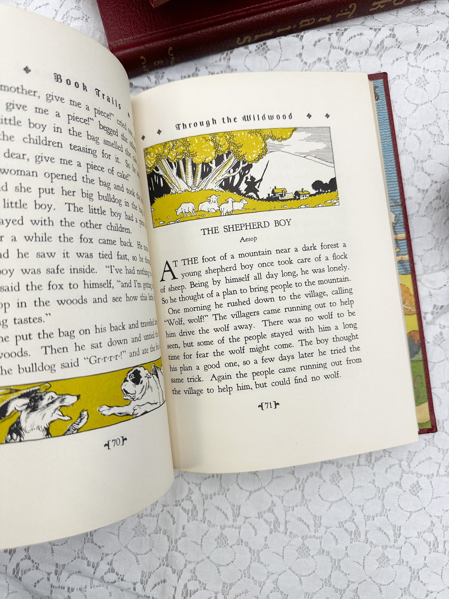 Book Trails Book (Multiple Available)